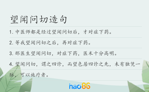 望闻问切造句
