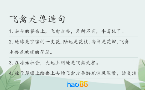 飞禽走兽造句