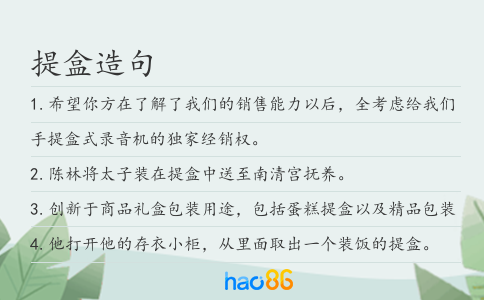提盒造句