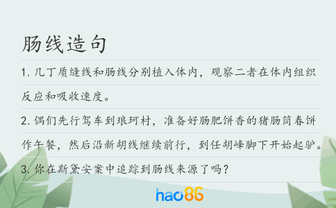 肠线造句