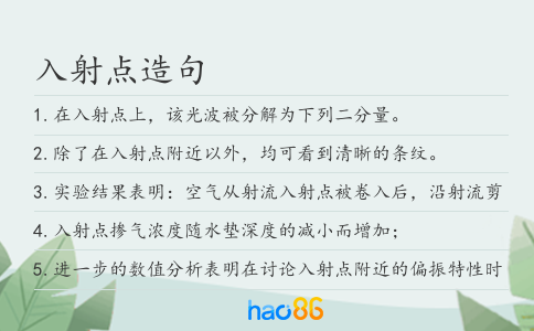 入射点造句