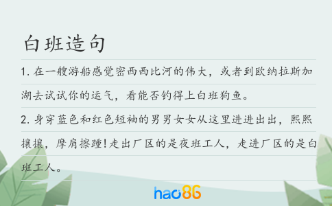 白班造句