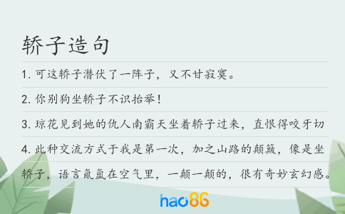 轿子造句