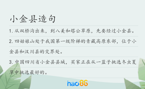 小金县造句