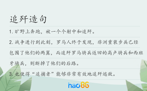 追歼造句