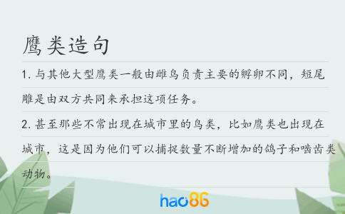 鹰类造句