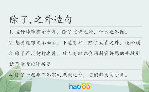 除了,之外造句