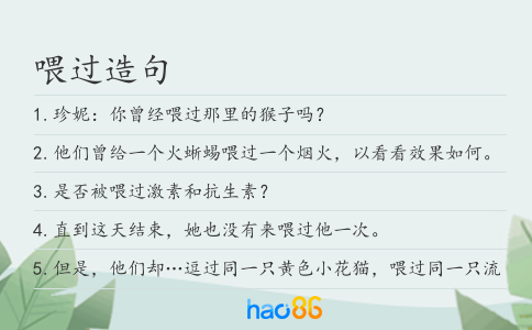 喂过造句
