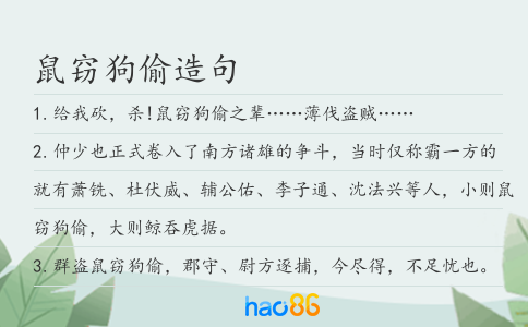 鼠窃狗偷造句