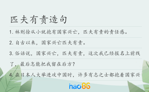 匹夫有责造句