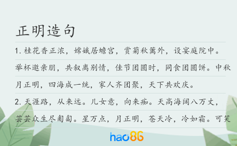 正明造句
