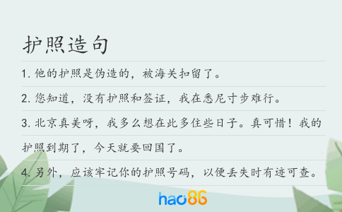 护照造句