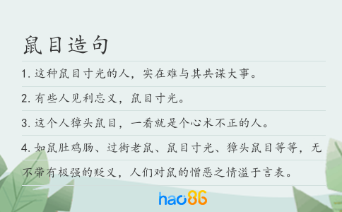 鼠目造句