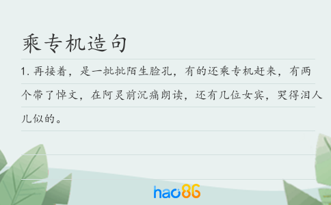 乘专机造句