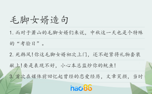 毛脚女婿造句