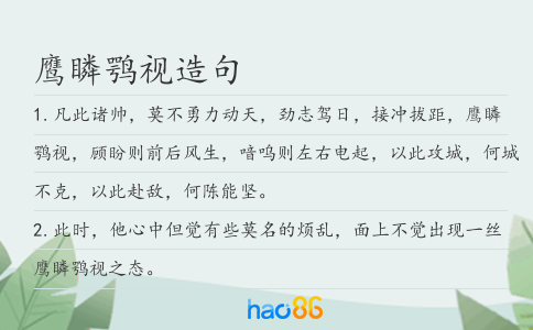 鹰瞵鹗视造句