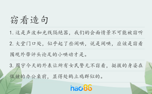 窃看造句