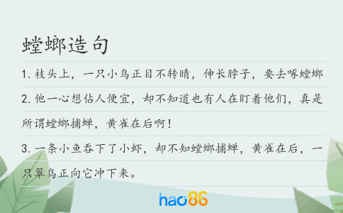 螳螂造句