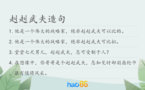 赳赳武夫造句