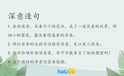 深意造句