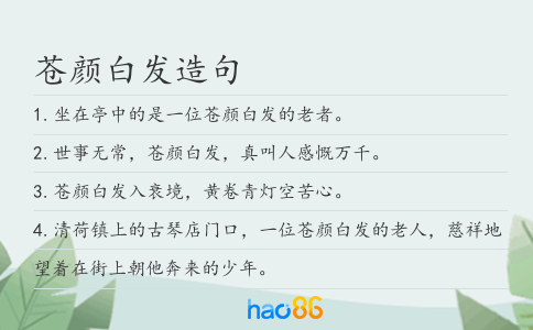 苍颜白发造句