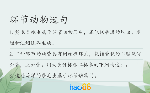环节动物造句