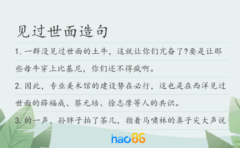 见过世面造句