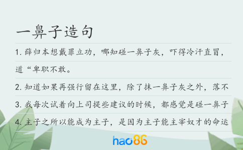一鼻子造句