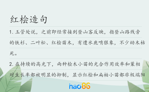 红桧造句