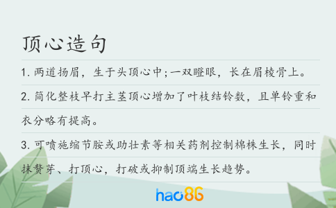 顶心造句