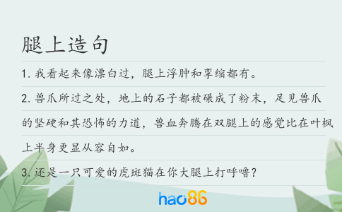 腿上造句