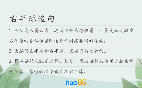 右半球造句