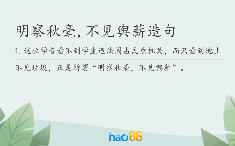 明察秋毫,不见舆薪造句