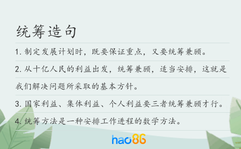 统筹造句