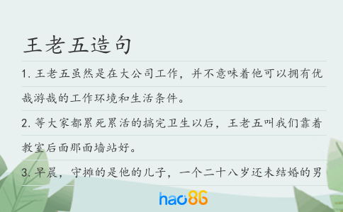 王老五造句