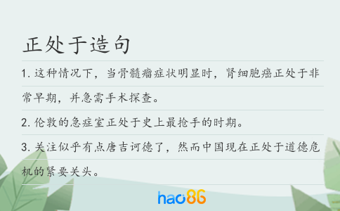 正处于造句