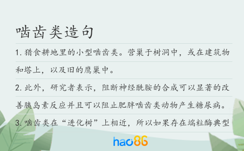 啮齿类造句