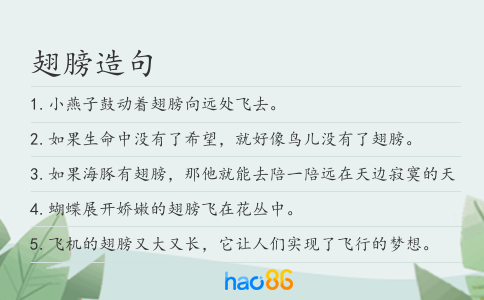 翅膀造句