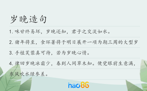 岁晚造句