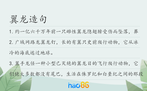 翼龙造句