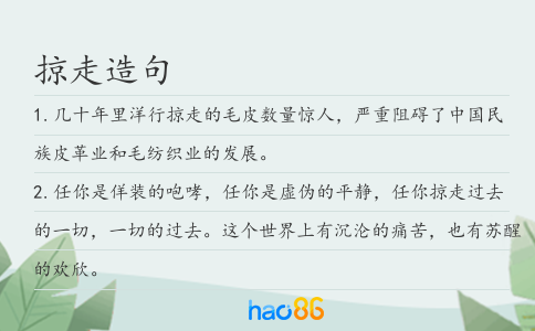 掠走造句