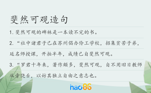 斐然可观造句