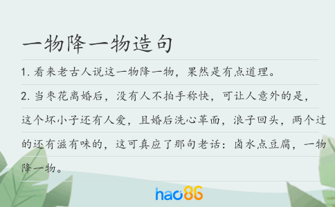 一物降一物造句