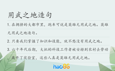用武之地造句