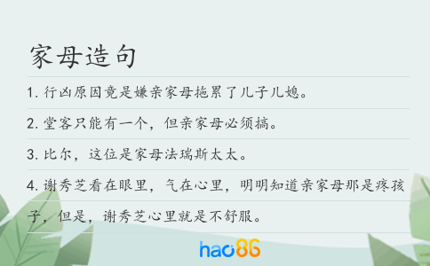 家母造句