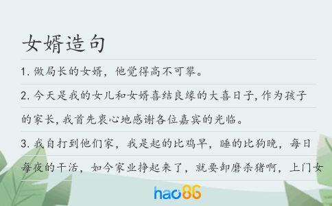 女婿造句