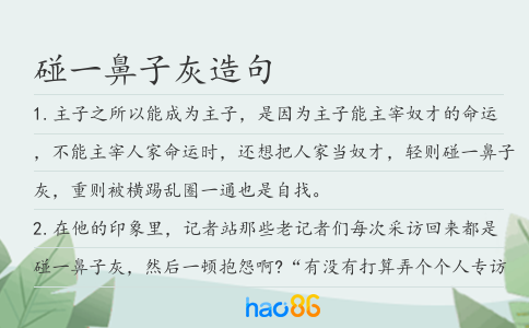 碰一鼻子灰造句