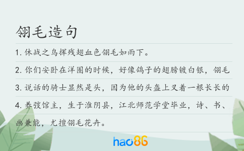 翎毛造句