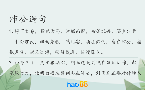 沛公造句