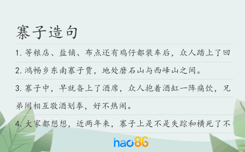 寨子造句